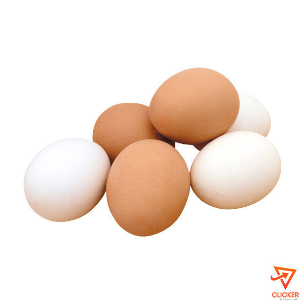 Clicker product EGG 2566